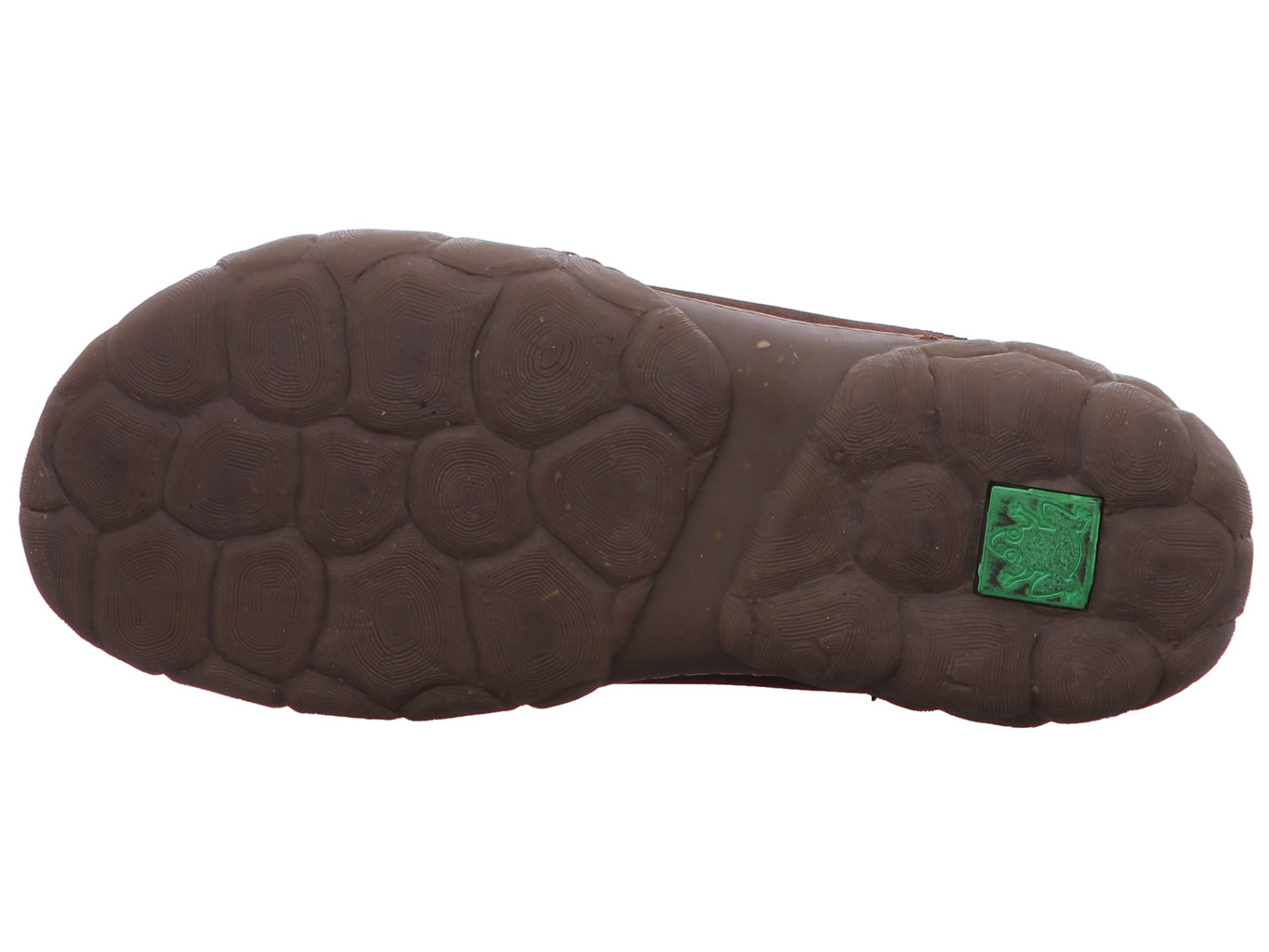 el_naturalista_turtle_n5083_pleasant_brown_8152
