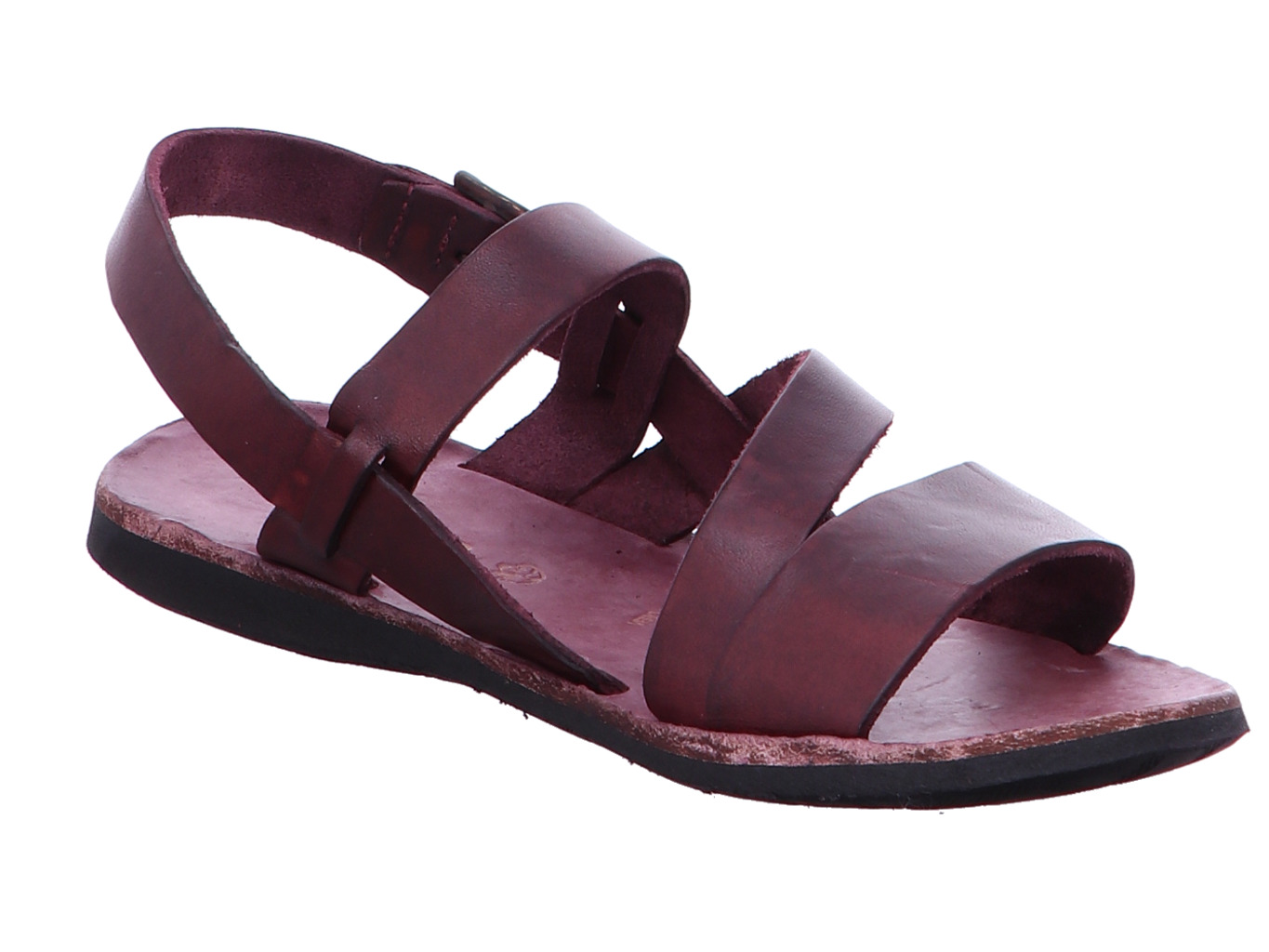 brador_strips_34556_vinaccia_4161