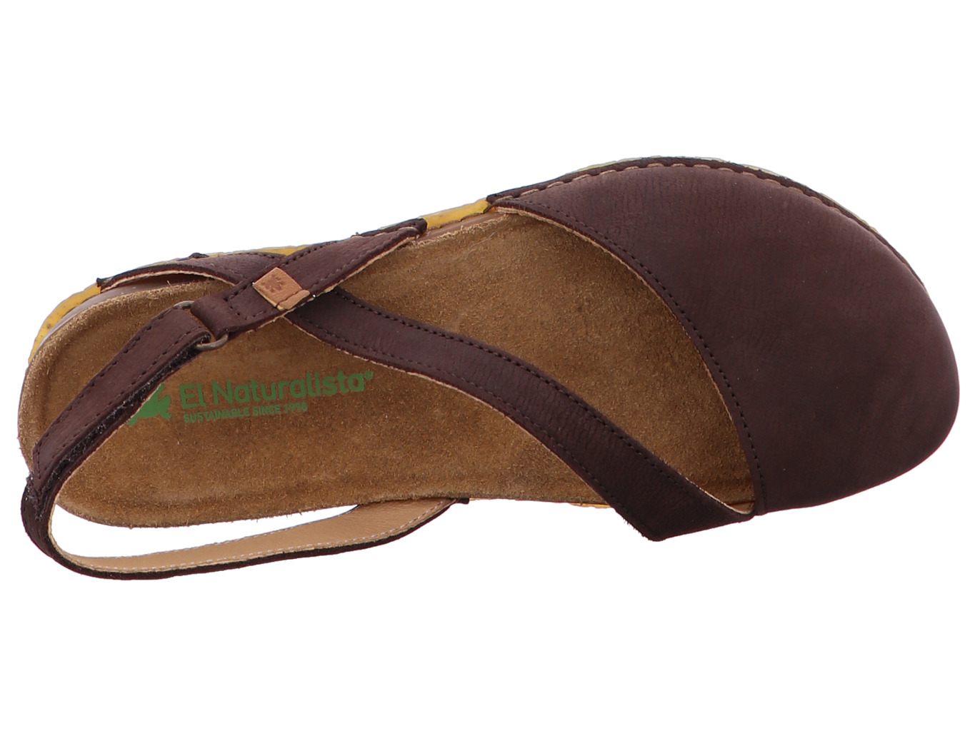 el_naturalista_panglao_n5813_brown_5207