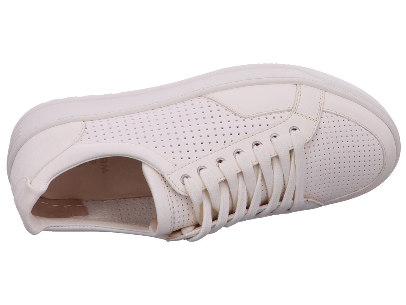 werner_amsel_785_51_7169