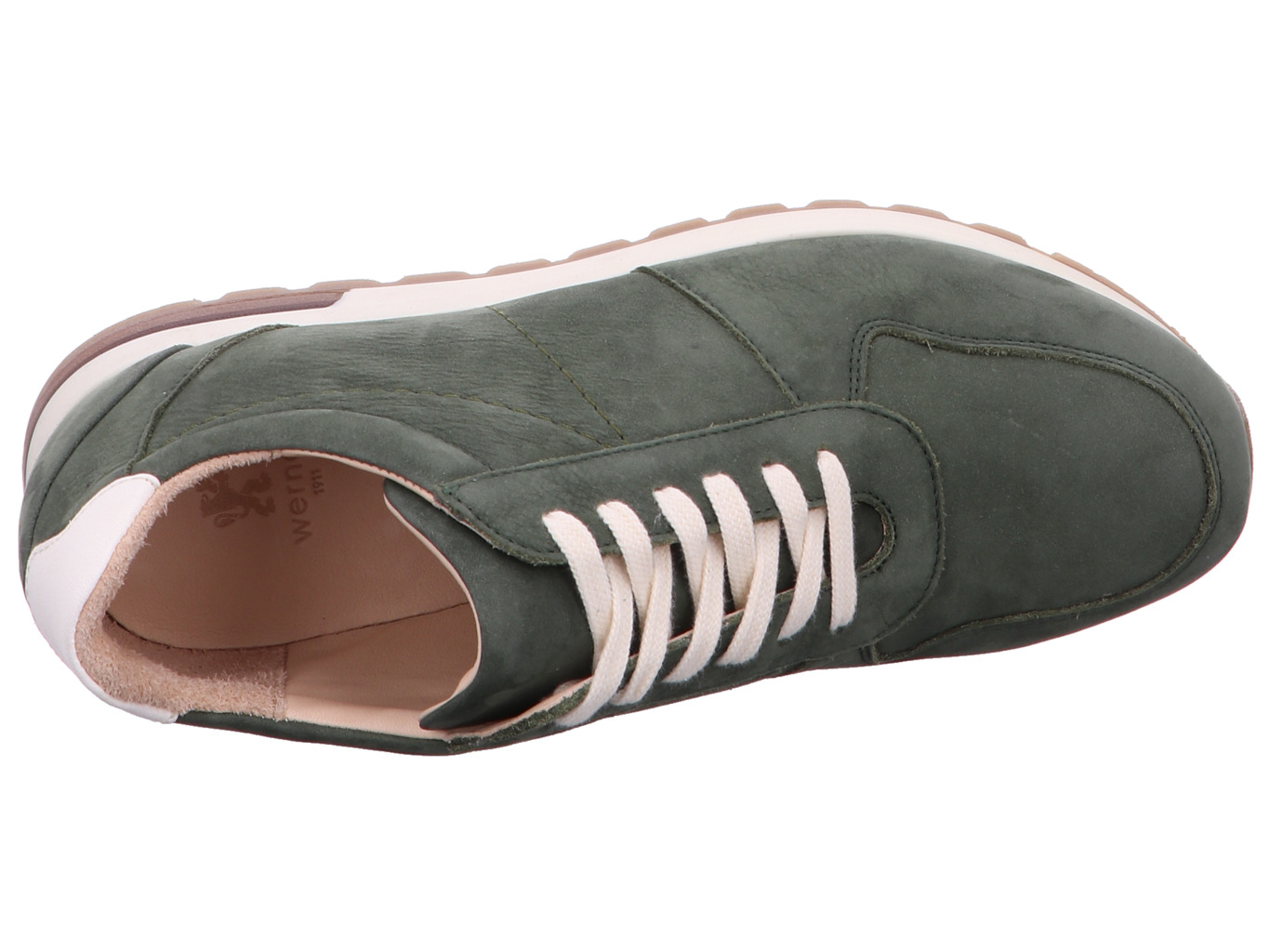 werner_karakara_345_49_palmgreen_7194