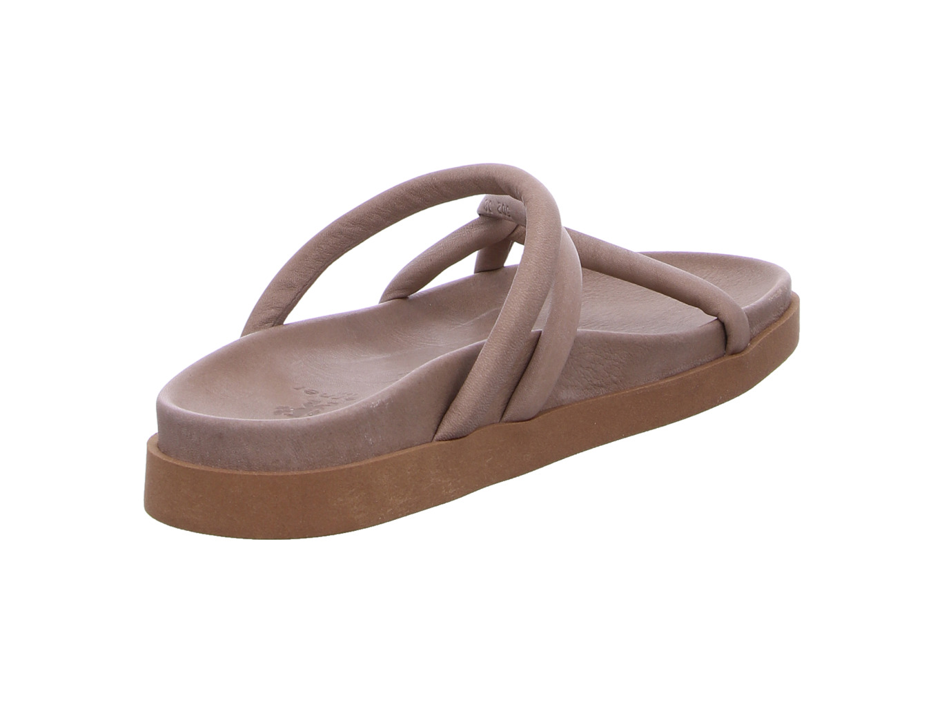 werner_efeu_502_04_natur_2116