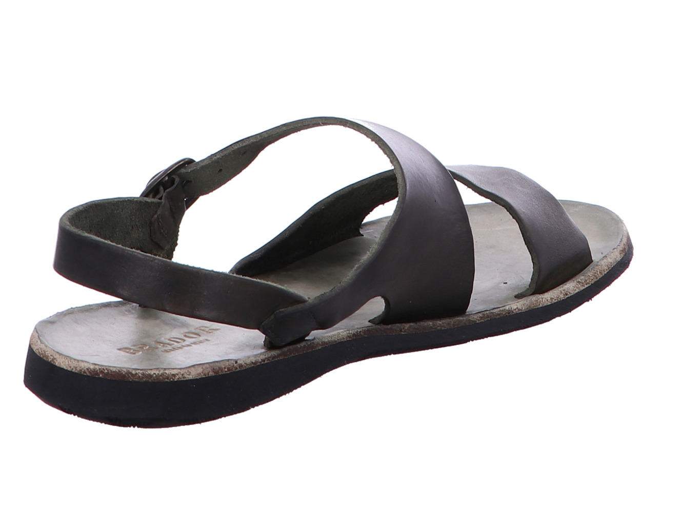 brador_sandy_34776_oliva_3136