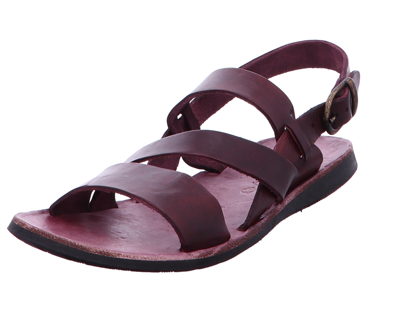 brador_strips_34556_vinaccia_1158