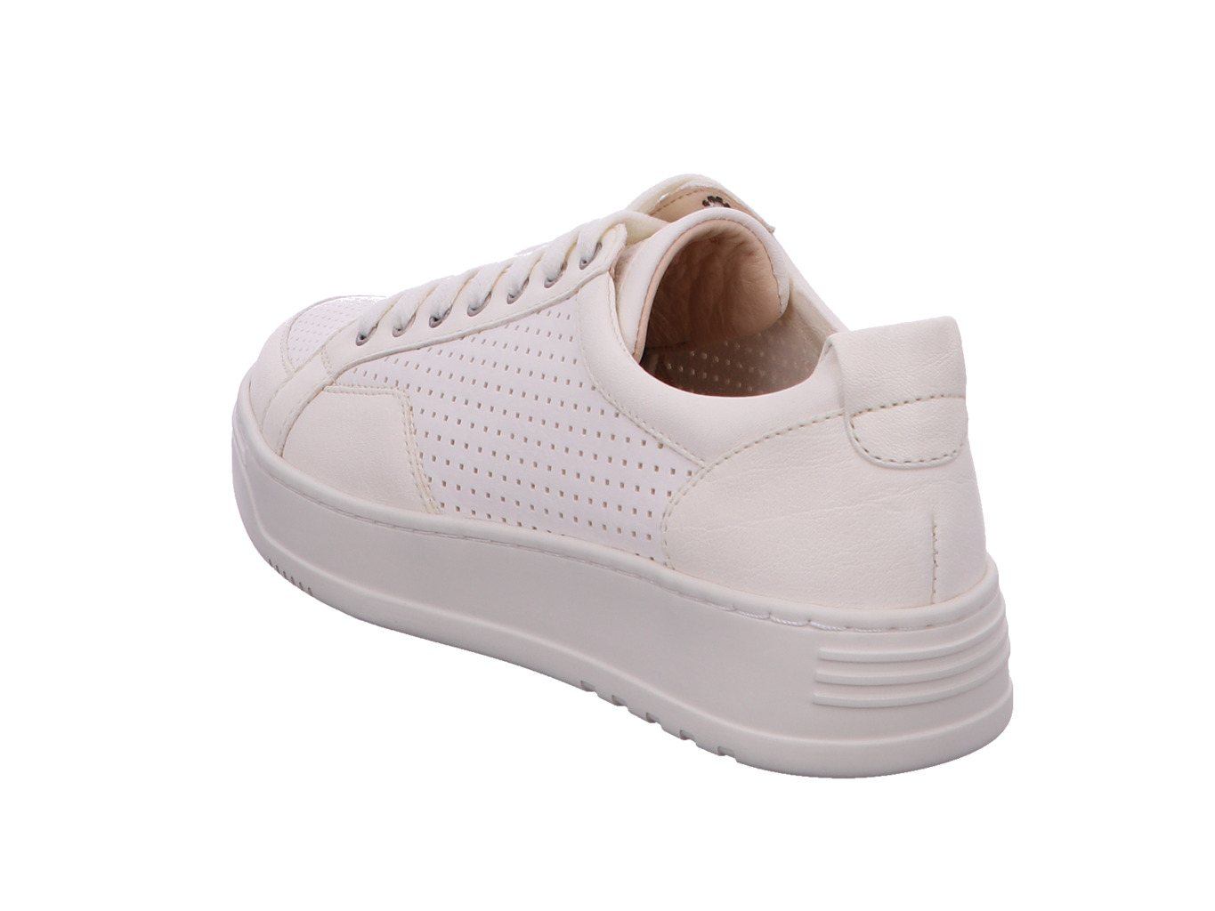 werner_amsel_785_51_5111