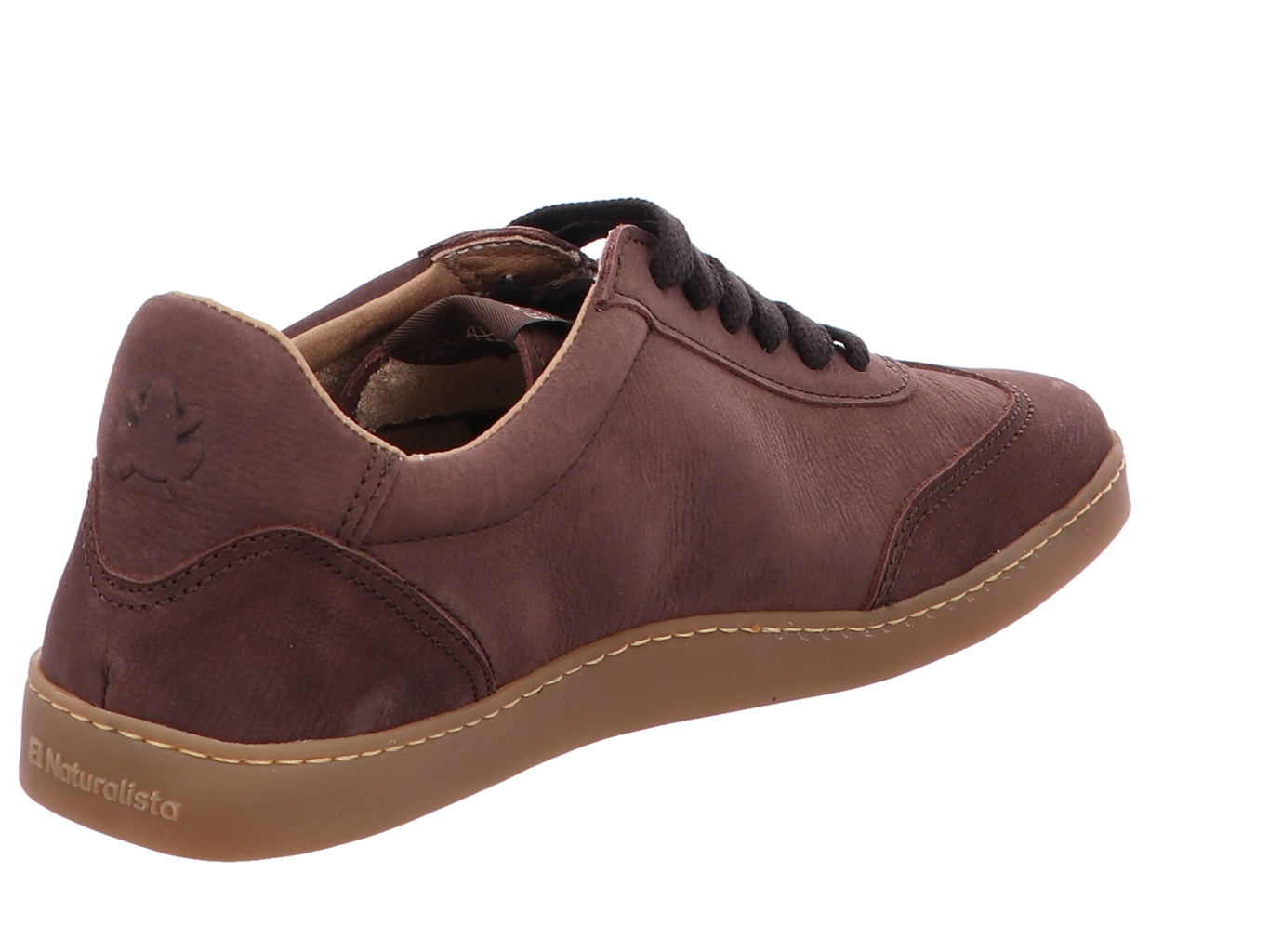 el_naturalista_origen_n5916_brown_3173