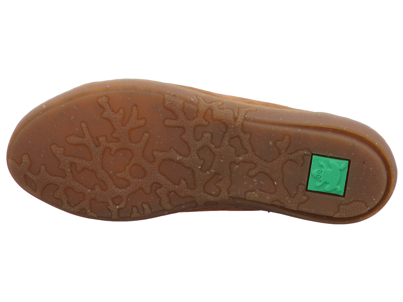 el_naturalista_coral_n5368_cuero_6152